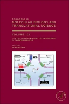  Glucose Homeostatis and the Pathogenesis of Diabetes Mellitus | Buch |  Sack Fachmedien