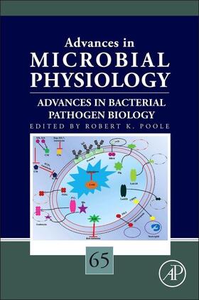  Advances in Bacterial Pathogen Biology | Buch |  Sack Fachmedien