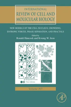 Hancock / Jeon |  New Models of the Cell Nucleus: Crowding, Entropic Forces, Phase Separation, and Fractals | eBook | Sack Fachmedien