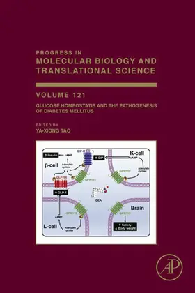 Tao |  Glucose Homeostatis and the Pathogenesis of Diabetes Mellitus | eBook | Sack Fachmedien