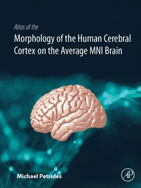Petrides |  Atlas of the Morphology of the Human Cerebral Cortex on the Average Mni Brain | Buch |  Sack Fachmedien