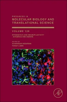 Epigenetics and Neuroplasticity - Evidence and Debate | Buch | 978-0-12-800977-2 | www2.sack.de