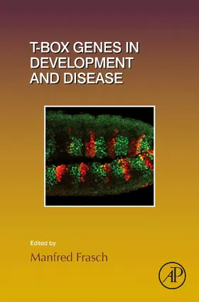 Frasch |  T-box Genes in Development and Disease | eBook | Sack Fachmedien