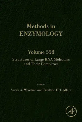  Structures of Large RNA Molecules and Their Complexes | eBook | Sack Fachmedien