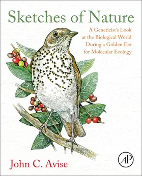 Avise |  Sketches of Nature | Buch |  Sack Fachmedien