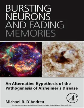 D'Andrea |  Bursting Neurons and Fading Memories | eBook | Sack Fachmedien