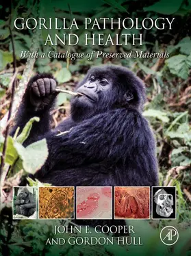 Cooper / Hull | Gorilla Pathology and Health | E-Book | sack.de