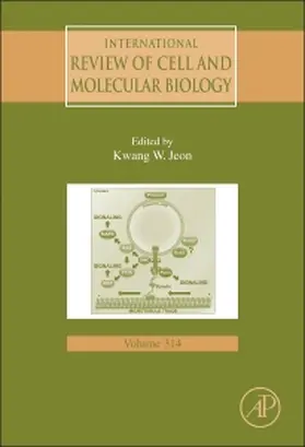  International Review of Cell and Molecular Biology | Buch |  Sack Fachmedien