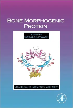  Bone Morphogenic Protein | Buch |  Sack Fachmedien
