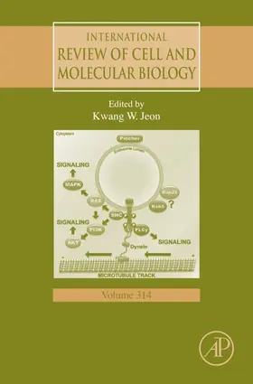 International Review of Cell and Molecular Biology | E-Book | sack.de