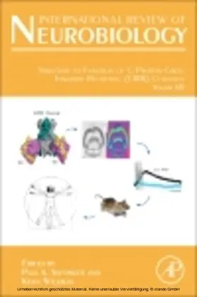 Wickman |  Structure to Function of G Protein-Gated Inwardly Rectifying (GIRK) Channels | eBook | Sack Fachmedien