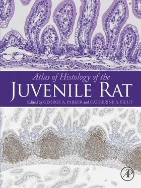 Parker / Picut | Atlas of Histology of the Juvenile Rat | E-Book | sack.de