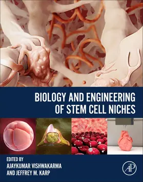 Vishwakarma / Karp |  Biology and Engineering of Stem Cell Niches | Buch |  Sack Fachmedien