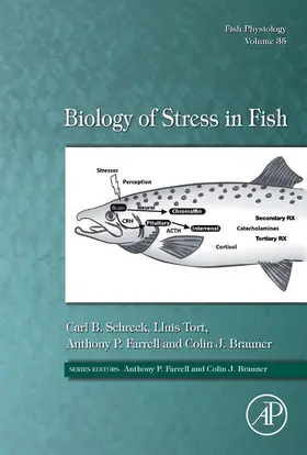 Schreck / Tort / Farrell |  Biology of Stress in Fish | eBook | Sack Fachmedien