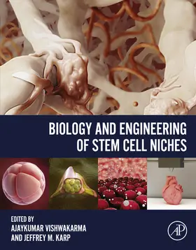 Vishwakarma / Karp |  Biology and Engineering of Stem Cell Niches | eBook | Sack Fachmedien