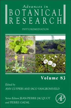  Phytoremediation | Buch |  Sack Fachmedien
