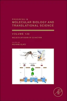 Molecular Basis of Olfaction | Buch | 978-0-12-802912-1 | sack.de