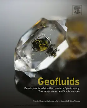 Hurai / Huraiov / Slobodn¡k |  Geofluids | eBook | Sack Fachmedien