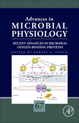 Recent Advances in Microbial Oxygen-Binding Proteins | Buch | 978-0-12-803298-5 | sack.de