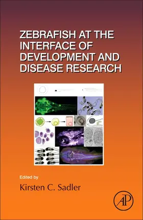 Zebrafish at the Interface of Development and Disease Research | Buch | 978-0-12-803308-1 | sack.de
