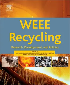 Chagnes / Cote / Ekberg |  WEEE Recycling | eBook | Sack Fachmedien