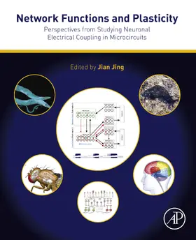 Jing | Network Functions and Plasticity | E-Book | sack.de