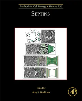 Septins | Buch | 978-0-12-803998-4 | www2.sack.de