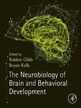 Gibb / Kolb |  The Neurobiology of Brain and Behavioral Development | eBook | Sack Fachmedien