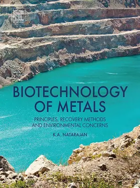 Natarajan |  Biotechnology of Metals | eBook | Sack Fachmedien