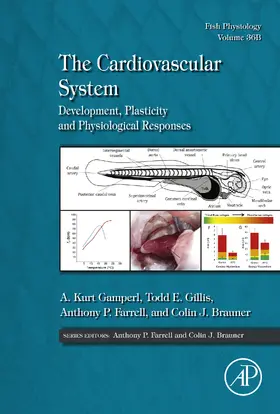 Gamperl / Gillis of Comparative Physiology / Farrell |  The Cardiovascular System | eBook | Sack Fachmedien