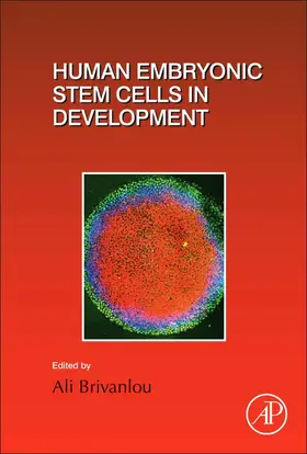  Human Embryonic Stem Cells in Development | Buch |  Sack Fachmedien