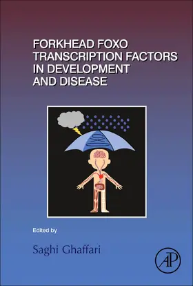 Forkhead FOXO Transcription Factors in Development and Disease | Buch | 978-0-12-804253-3 | sack.de