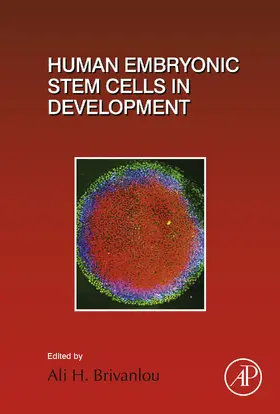  Human Embryonic Stem Cells in Development | eBook | Sack Fachmedien