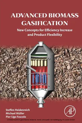 Heidenreich / Müller / Foscolo | Advanced Biomass Gasification | E-Book | sack.de