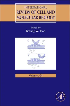 Jeon / Galluzzi | International Review of Cell and Molecular Biology | Buch | 978-0-12-804807-8 | sack.de