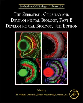Westerfield / Zon |  The Zebrafish: Cellular and Developmental Biology, Part B Developmental Biology | Buch |  Sack Fachmedien