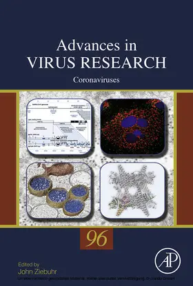 Ziebuhr |  Coronaviruses | eBook | Sack Fachmedien