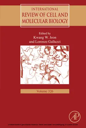 Galluzzi |  International Review of Cell and Molecular Biology | eBook | Sack Fachmedien
