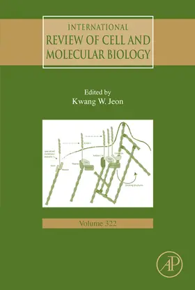 Galluzzi |  International Review of Cell and Molecular Biology | eBook | Sack Fachmedien