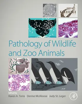 Terio / McAloose / Leger |  Pathology of Wildlife and Zoo Animals | eBook | Sack Fachmedien