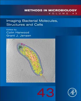 Imaging Bacterial Molecules, Structures and Cells | Buch | 978-0-12-809392-4 | sack.de