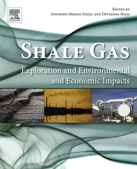 Dayal / Mani | Shale Gas | E-Book | sack.de