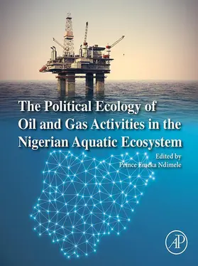 Ndimele | The Political Ecology of Oil and Gas Activities in the Nigerian Aquatic Ecosystem | E-Book | sack.de