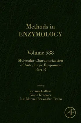 Galluzzi / Kroemer | Molecular Characterization of Autophagic Responses Part B | E-Book | sack.de