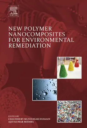 Mustansar Hussain / Mishra | New Polymer Nanocomposites for Environmental Remediation | E-Book | sack.de