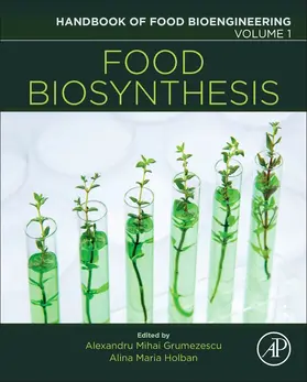 Grumezescu / Holban | Food Biosynthesis | Buch | 978-0-12-811372-1 | www2.sack.de