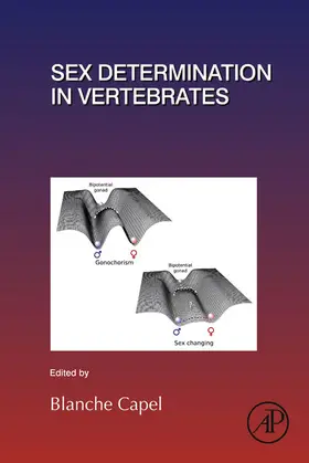 Capel |  Sex Determination in Vertebrates | eBook | Sack Fachmedien
