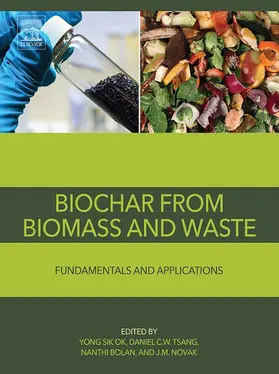 Ok / Tsang / Bolan |  Biochar from Biomass and Waste | eBook | Sack Fachmedien