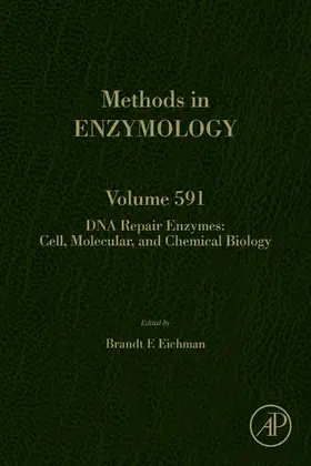 Eichman |  DNA Repair Enzymes: Cell, Molecular, and Chemical Biology | eBook | Sack Fachmedien