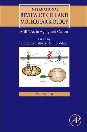 MiRNAs in Aging and Cancer | Buch | 978-0-12-811868-9 | sack.de